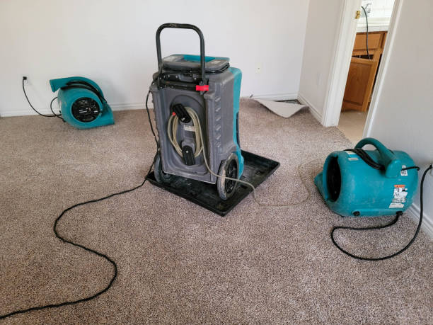 Best Water damage cleanup near me  in Weber City, VA