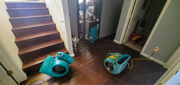 Best Flood restoration services  in Weber City, VA