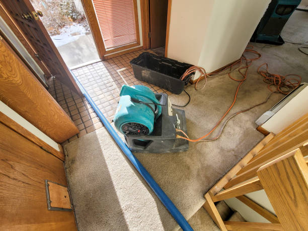 Reliable Weber City, VA Water damage restoration Solutions