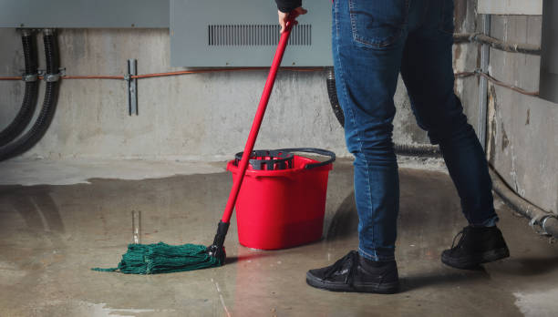 Best Water damage contractors near me  in Weber City, VA
