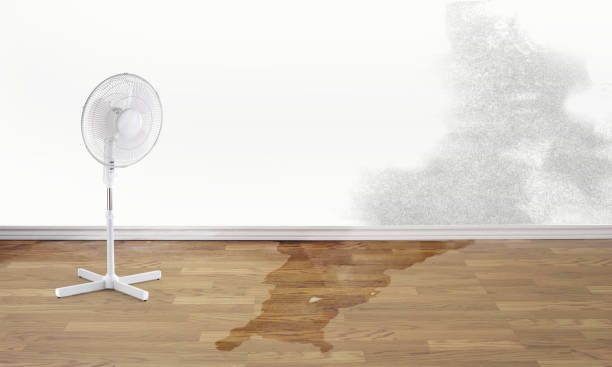 Professional Water damage restoration in Weber City, VA