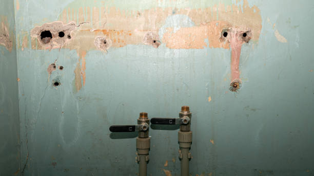 Best Water damage restoration near me  in Weber City, VA
