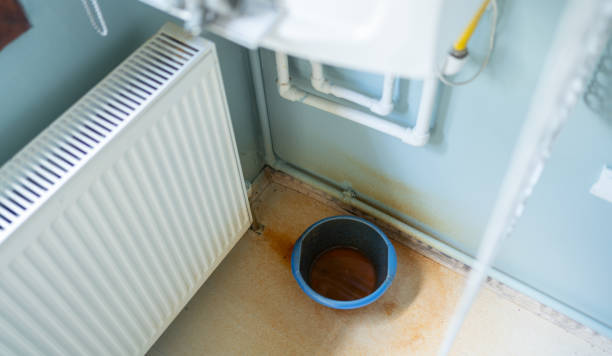 Best Ceiling water damage repair  in Weber City, VA