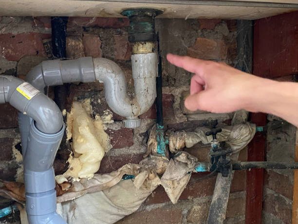 Best Local water damage restoration  in Weber City, VA