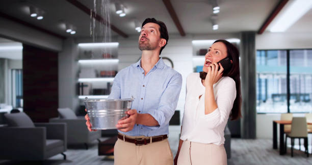 Best Flood damage cleanup  in Weber City, VA